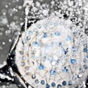 Tipos de champú según tu tipo de pelo