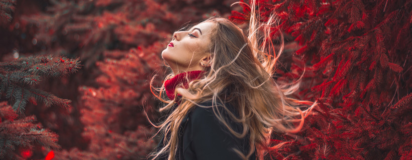 Protectores térmicos para el cabello