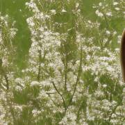 Los Mejores Peinados para la Primavera 2023