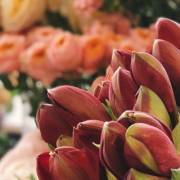 Peinados y cortes que serán tendencía esta Semana Santa de 2023