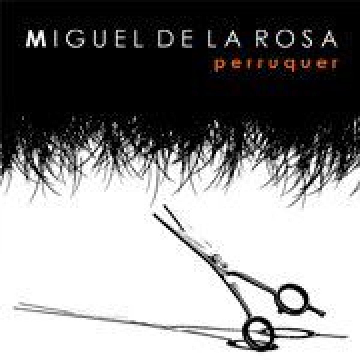 Peluquería Miguel De La Rosa Martin